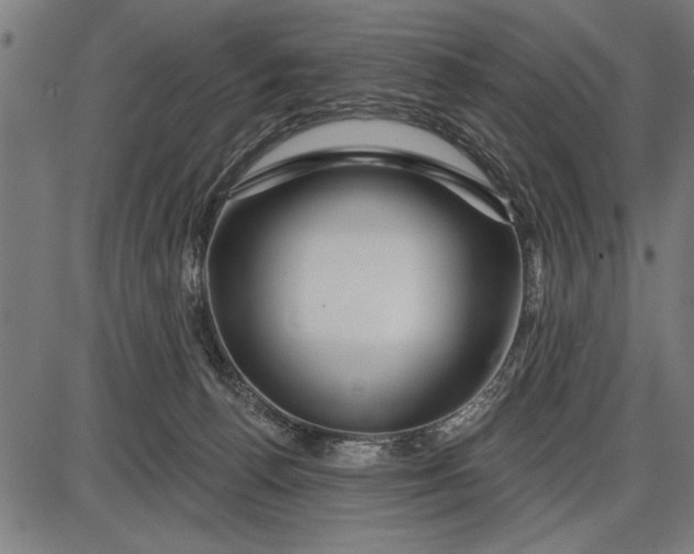 X0000086100176200704091402