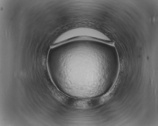 X0000086100178200704091402