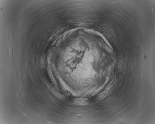 X0000086100179200704091402
