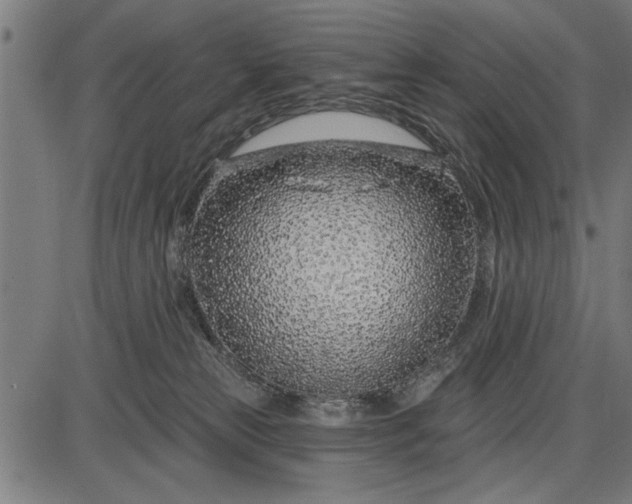 X0000086100181200704091402