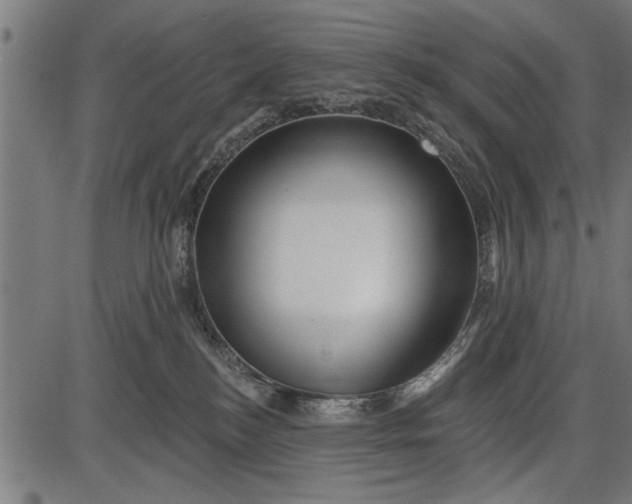 X0000086100184200704091402