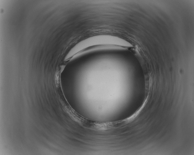 X0000086100190200704091402