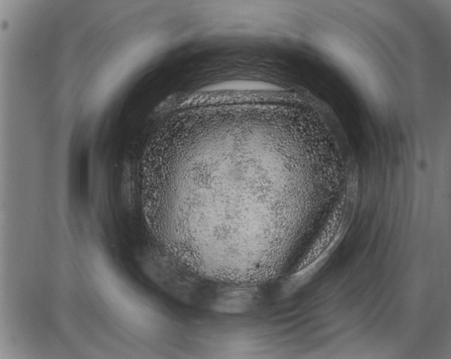 X0000086100191200704091402