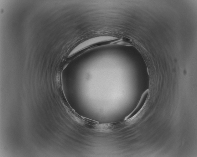 X0000086100192200704091402