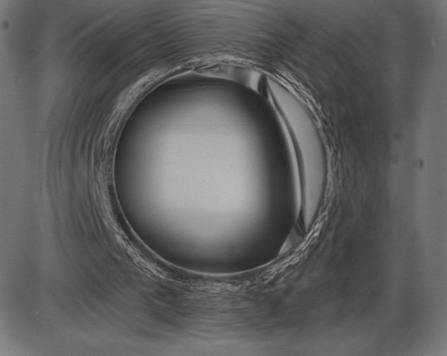 X0000086100193200704091401