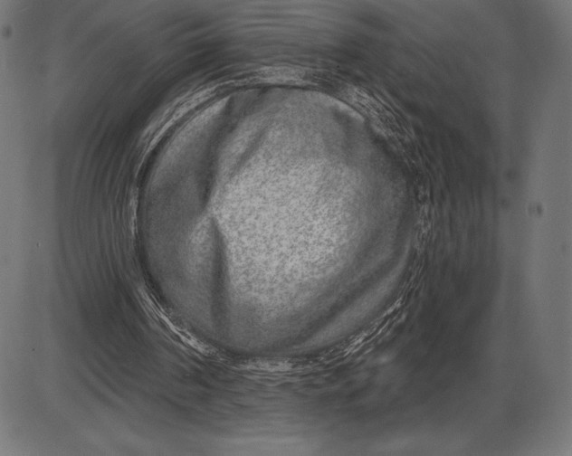 X0000086100194200704091401