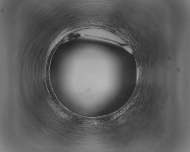 X0000086100195200704091401