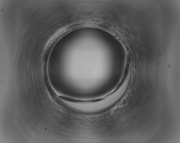 X0000086100197200704091401