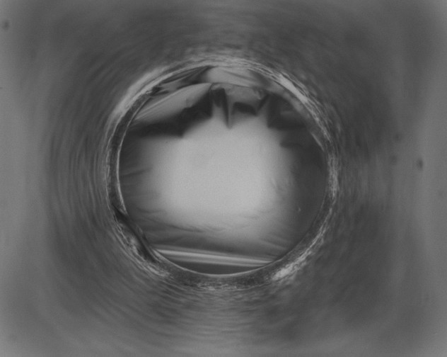 X0000086100199200704091401