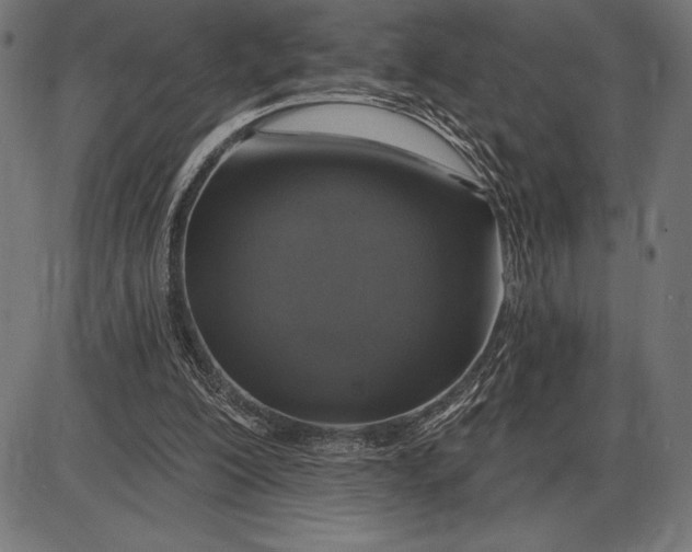 X0000086100200200704091401