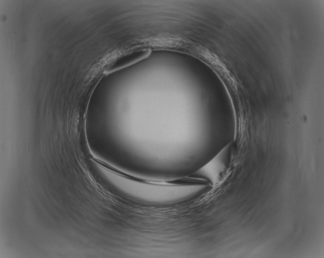 X0000086100201200704091401