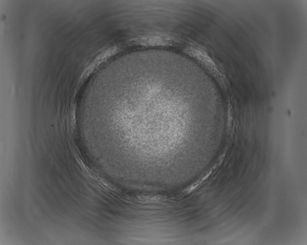 X0000086100202200704091401