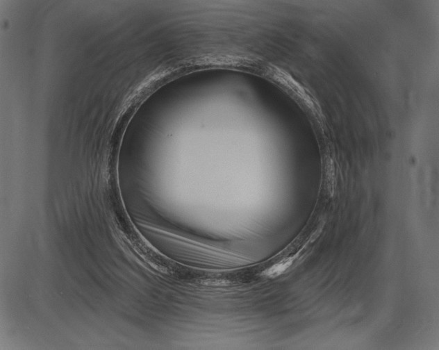 X0000086100203200704091401