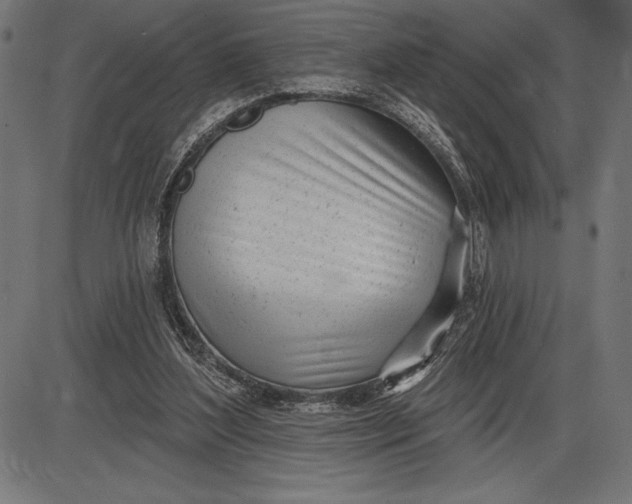 X0000086100204200704091401