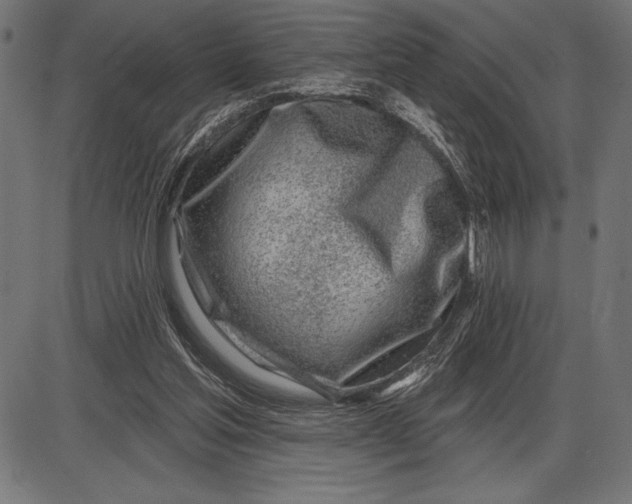 X0000086100205200704091401