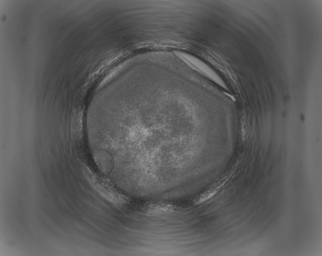 X0000086100206200704091401