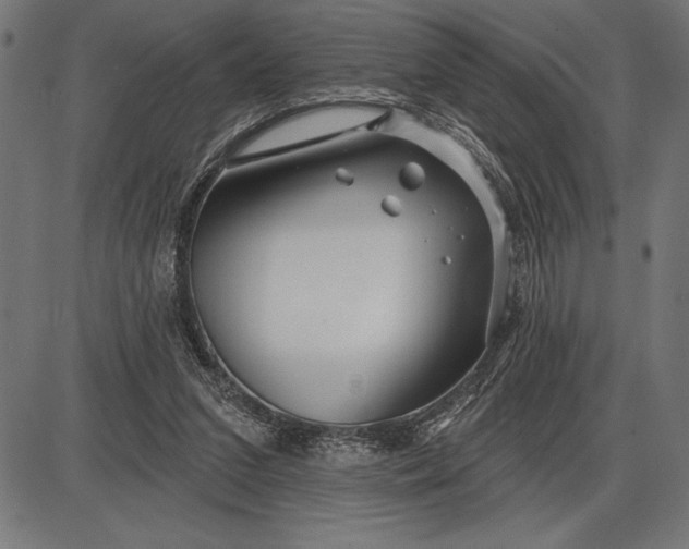 X0000086100207200704091401