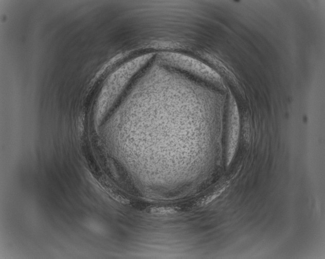 X0000086100208200704091401