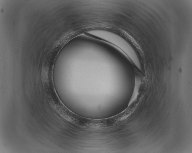 X0000086100209200704091401