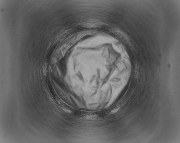 X0000086100210200704091401