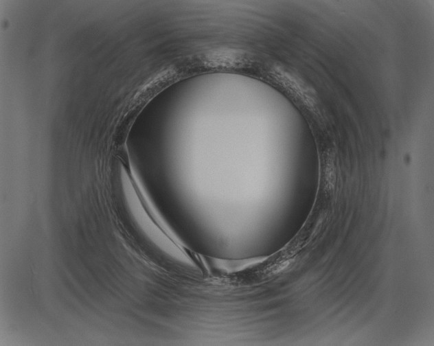 X0000086100211200704091401