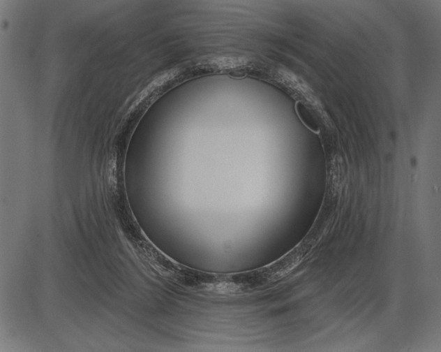 X0000086100212200704091401
