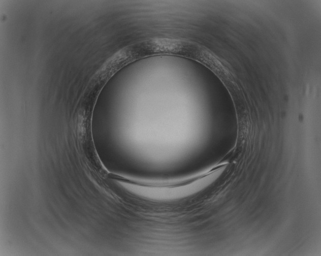 X0000086100215200704091401