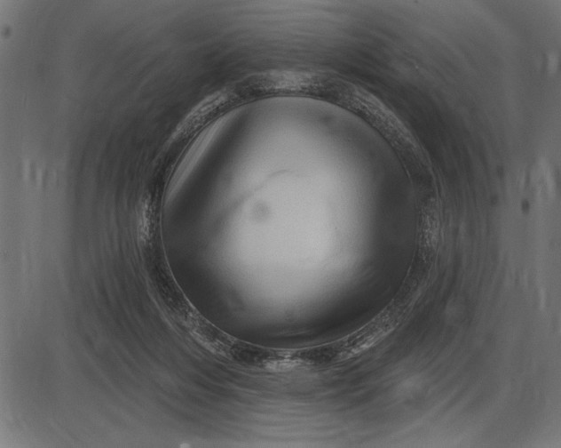 X0000086100216200704091401