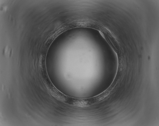 X0000086100217200704091401