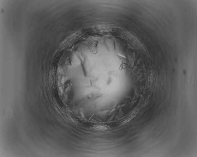 X0000086100218200704091401