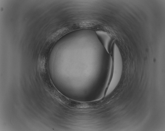 X0000086100219200704091401