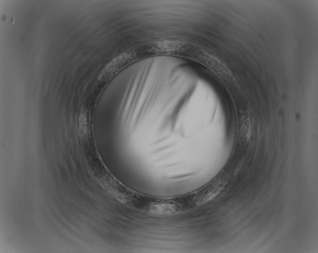 X0000086100220200704091401
