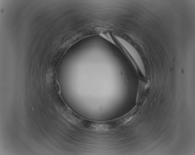 X0000086100221200704091401