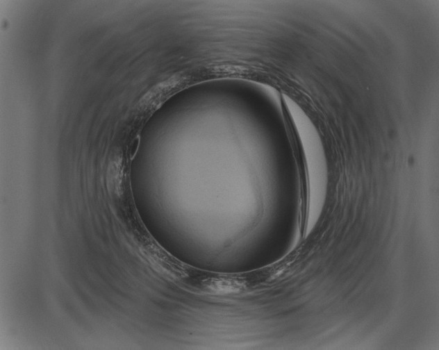 X0000086100223200704091401