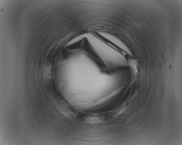 X0000086100224200704091401