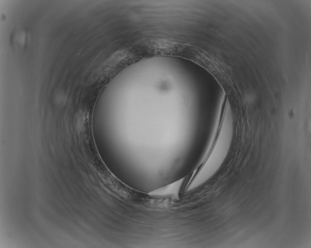 X0000086100225200704091401