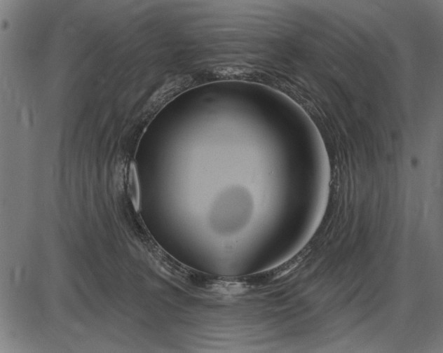 X0000086100227200704091400