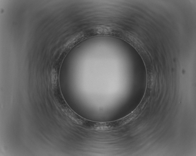 X0000086100228200704091400
