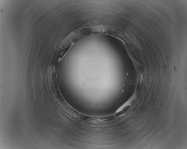 X0000086100229200704091400
