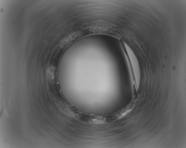 X0000086100232200704091400