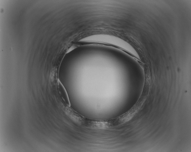 X0000086100233200704091400