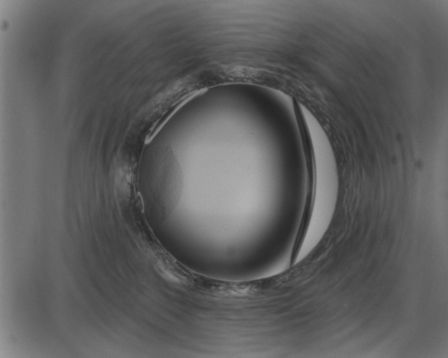 X0000086100235200704091400