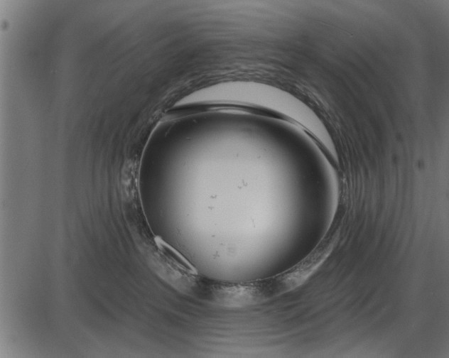 X0000086100237200704091400