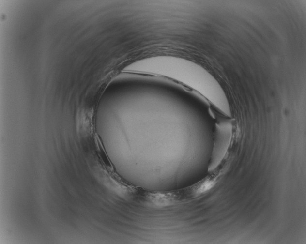 X0000086100239200704091400