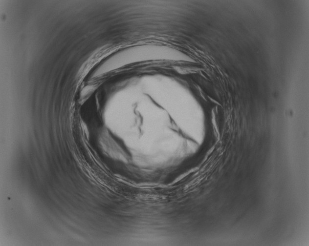 X0000086100242200704091359
