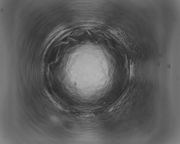 X0000086100243200704091359