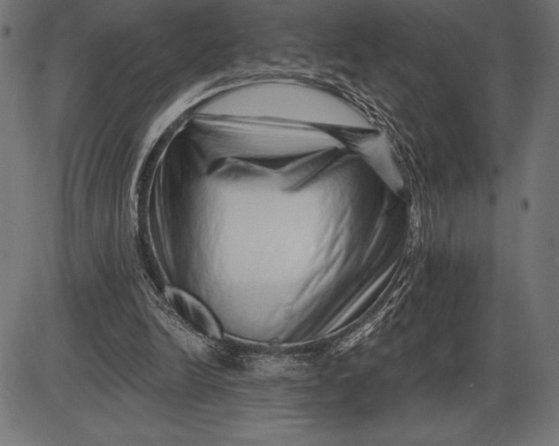 X0000086100246200704091359