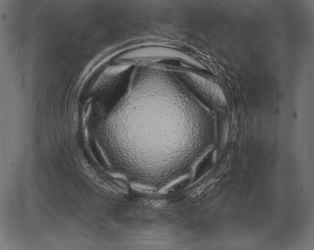 X0000086100247200704091400