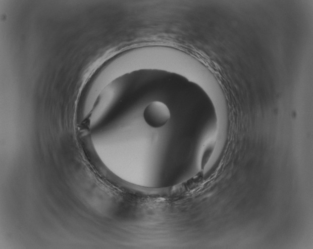 X0000086100248200704091400