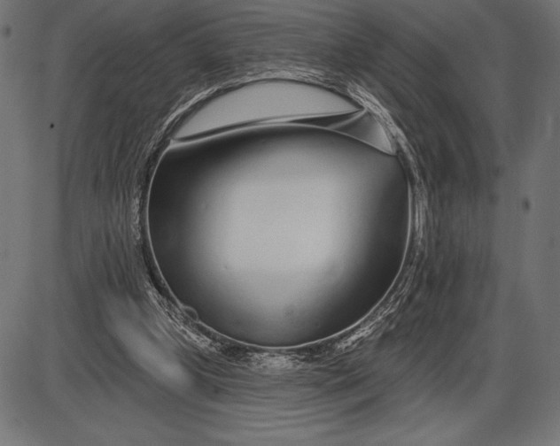 X0000086100249200704091400